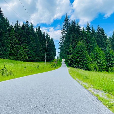 Gorska Cisza - Duzy, Komfortowy, Wyjatkowy Apartament Stronie Śląskie Dış mekan fotoğraf