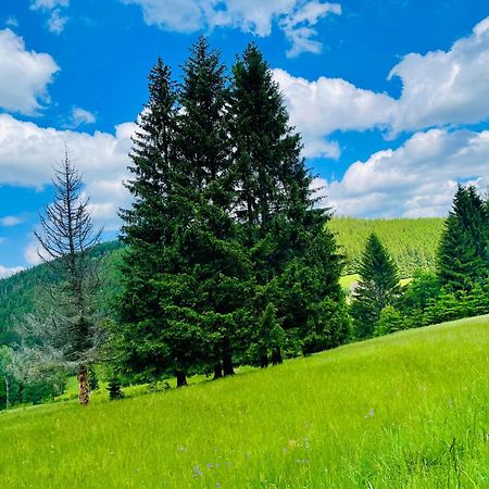 Gorska Cisza - Duzy, Komfortowy, Wyjatkowy Apartament Stronie Śląskie Dış mekan fotoğraf