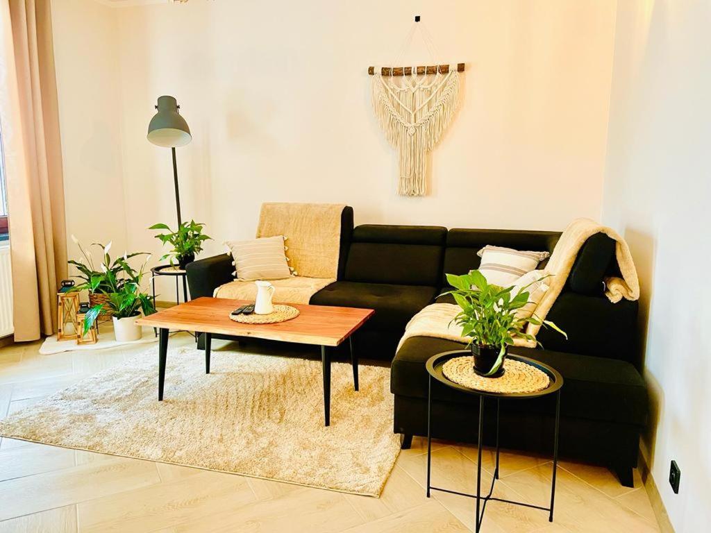 Gorska Cisza - Duzy, Komfortowy, Wyjatkowy Apartament Stronie Śląskie Dış mekan fotoğraf