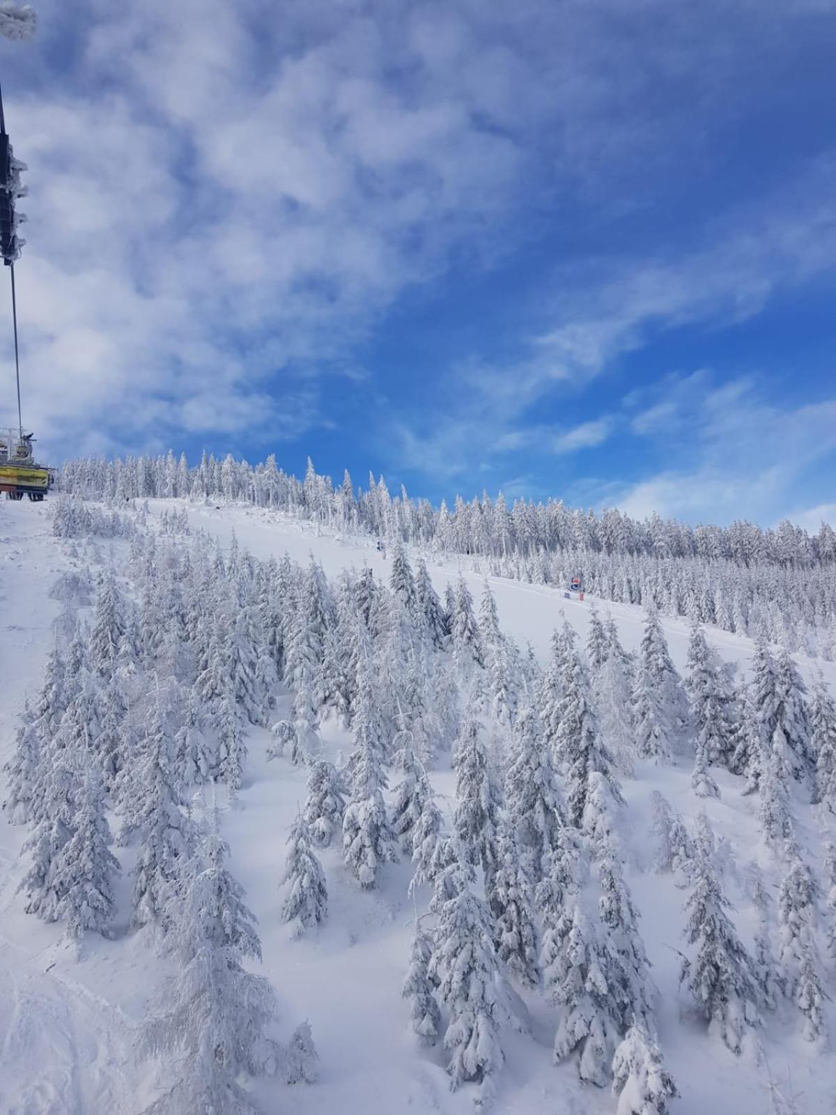 Gorska Cisza - Duzy, Komfortowy, Wyjatkowy Apartament Stronie Śląskie Dış mekan fotoğraf