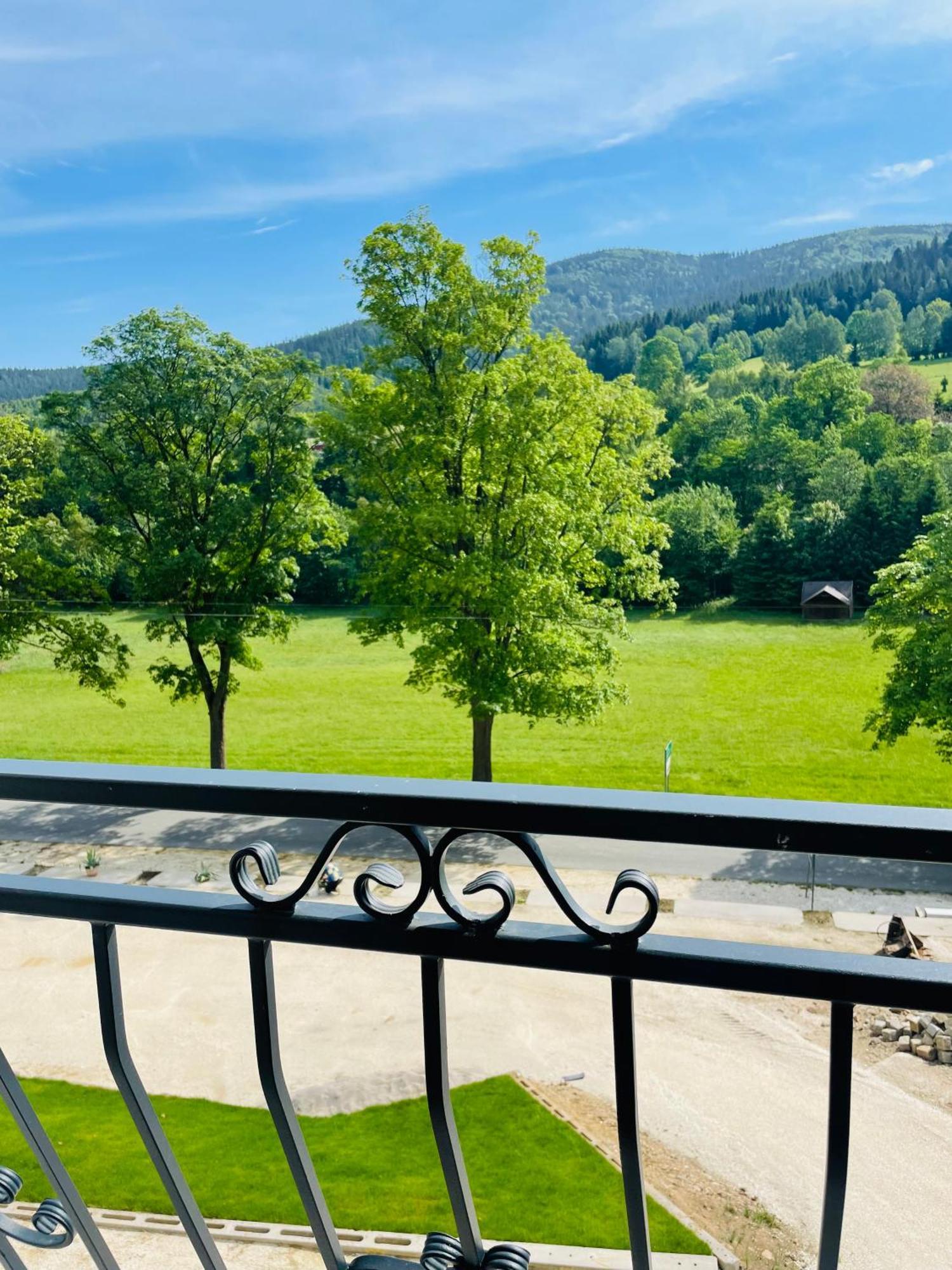 Gorska Cisza - Duzy, Komfortowy, Wyjatkowy Apartament Stronie Śląskie Dış mekan fotoğraf