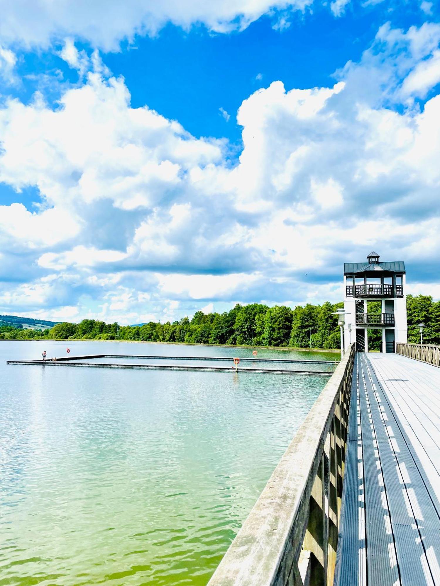 Gorska Cisza - Duzy, Komfortowy, Wyjatkowy Apartament Stronie Śląskie Dış mekan fotoğraf