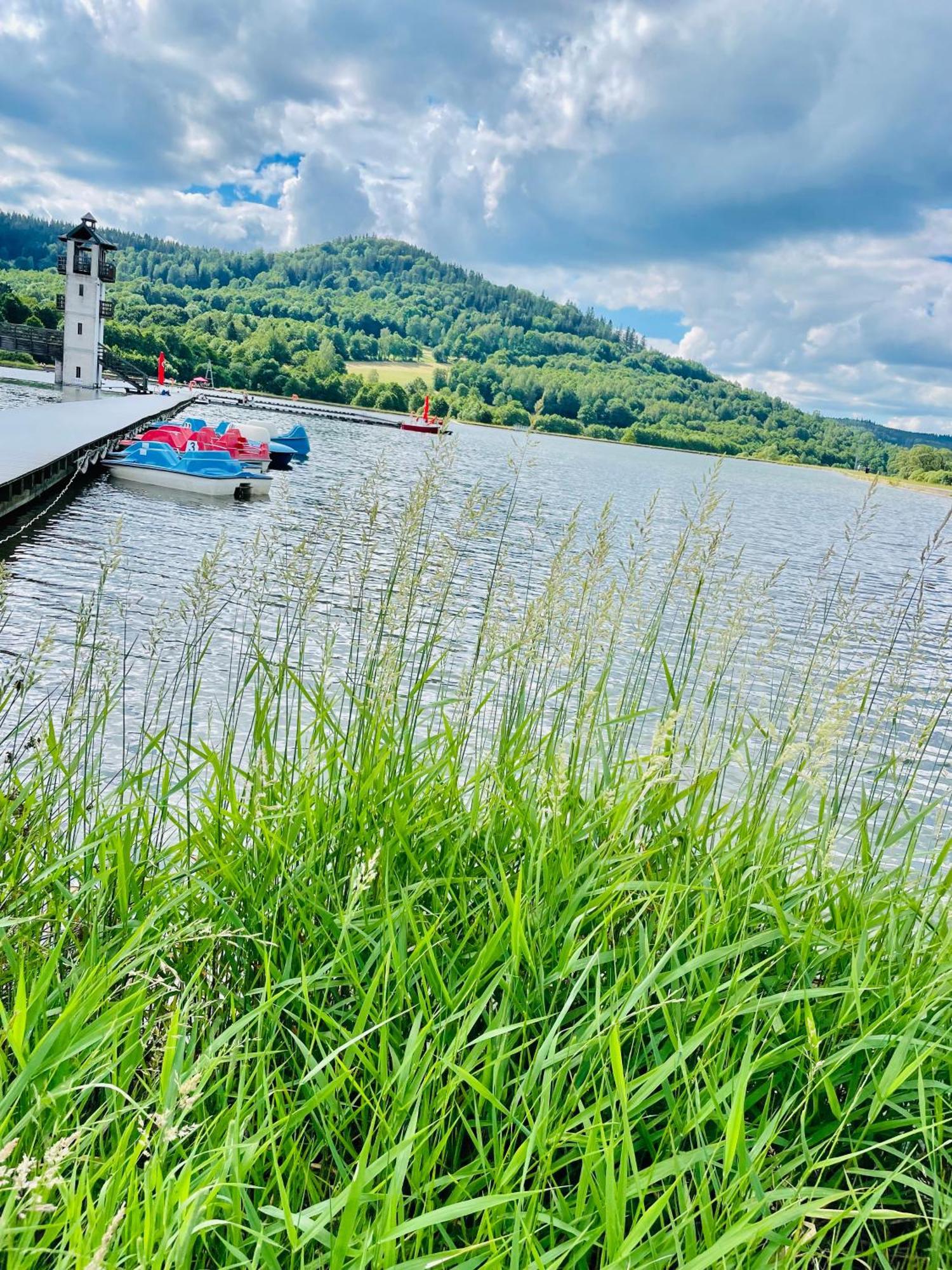Gorska Cisza - Duzy, Komfortowy, Wyjatkowy Apartament Stronie Śląskie Dış mekan fotoğraf