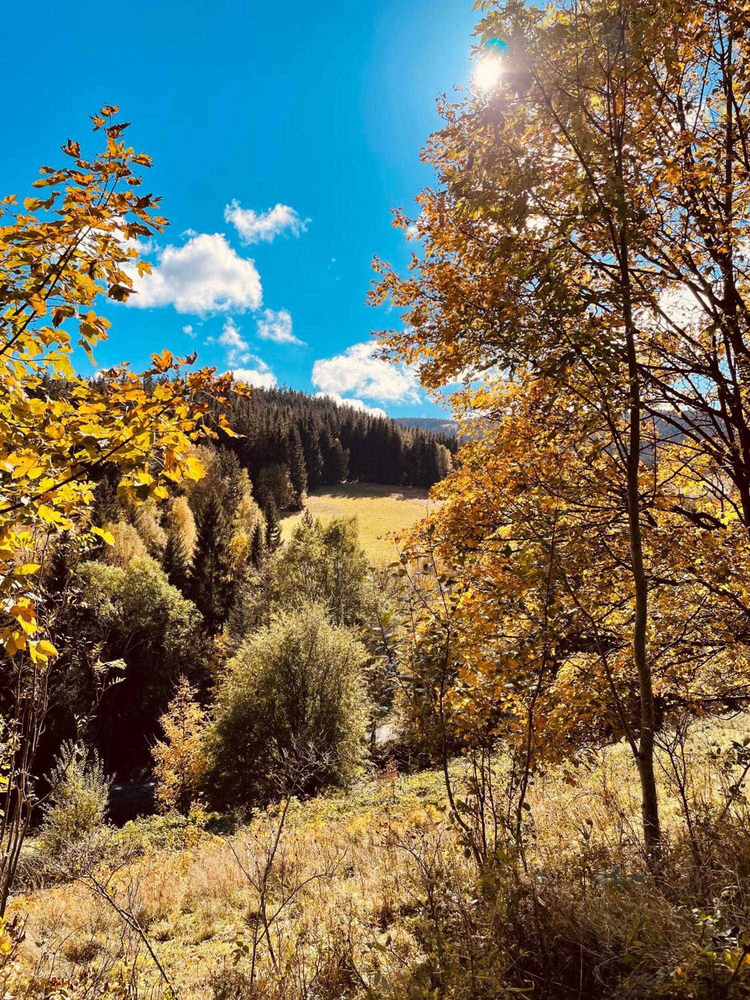 Gorska Cisza - Duzy, Komfortowy, Wyjatkowy Apartament Stronie Śląskie Dış mekan fotoğraf